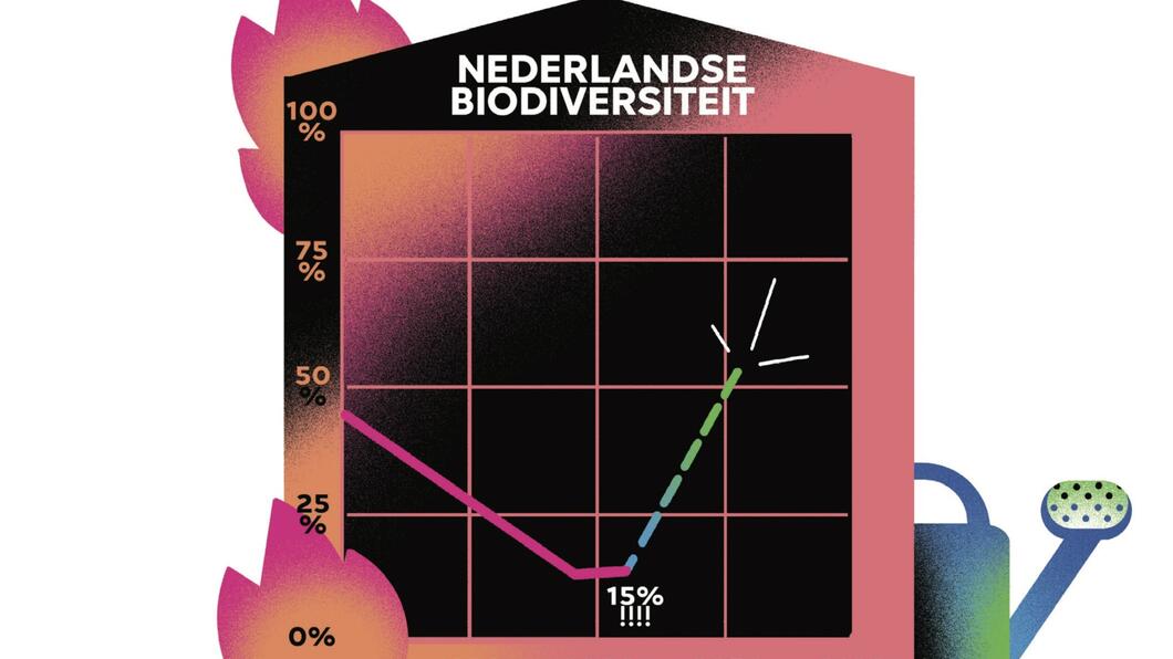 Deze afbeelding illustreert het soortenverlies en het gewenste herstel